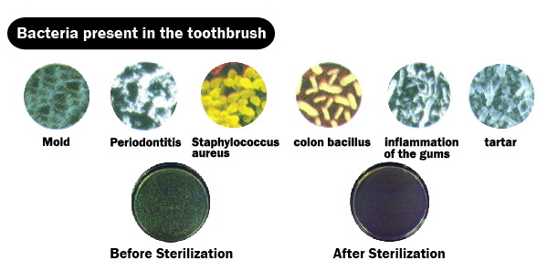 Sterilizer_toothbrush